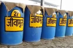 Jivamrit: The Liquid Gold of Natural Farming