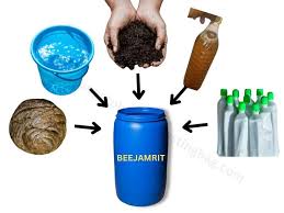 Beejamrit Solution Kit - Traditional and Natural Seeds from Ankuran Seeds