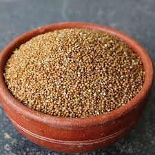 Kodo Millet - Traditional and Natural Seeds from Ankuran Seeds