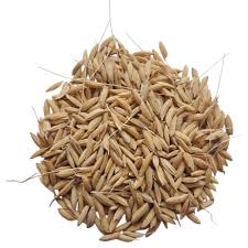 Traditional Dubraj Rice Seeds - Traditional and Natural Seeds